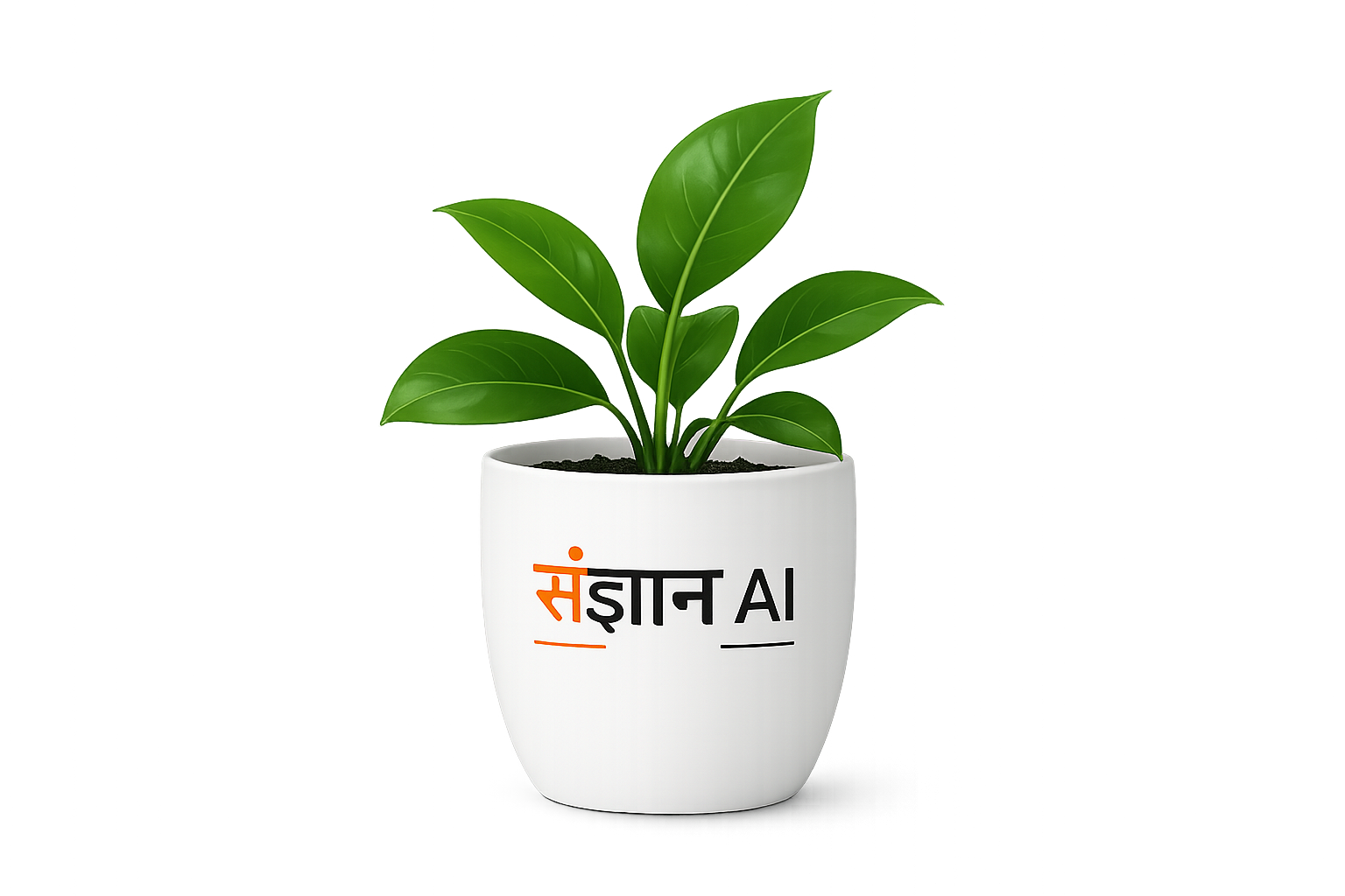 AI Expert Demonstration
